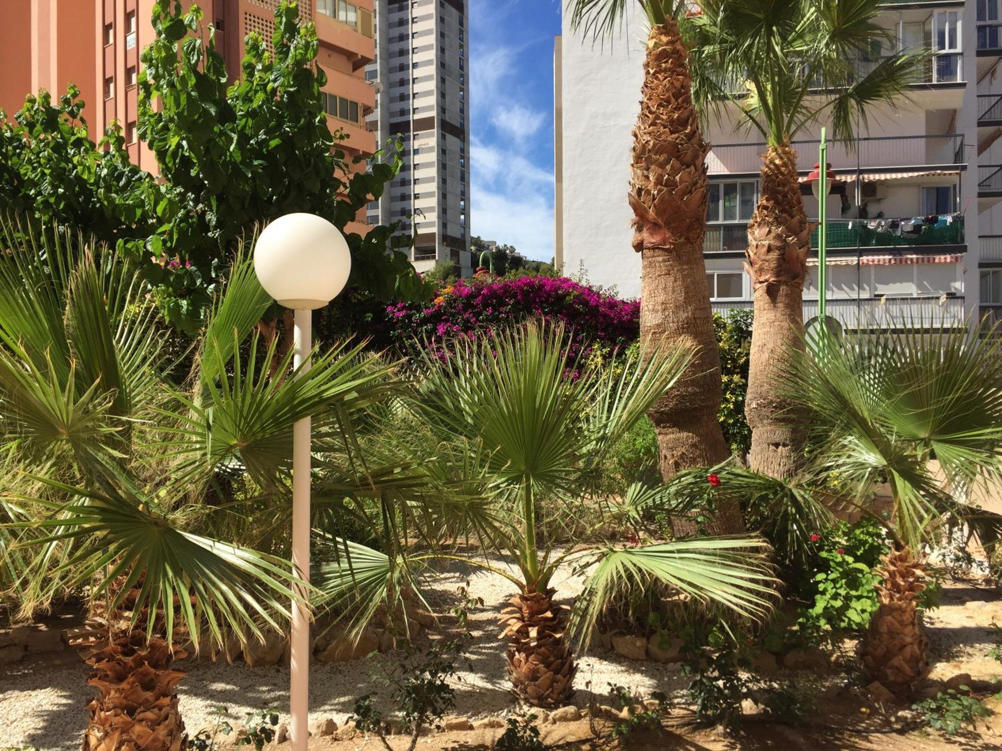 Panorama Benidorm Torre Montecarlo Apartment Exterior photo